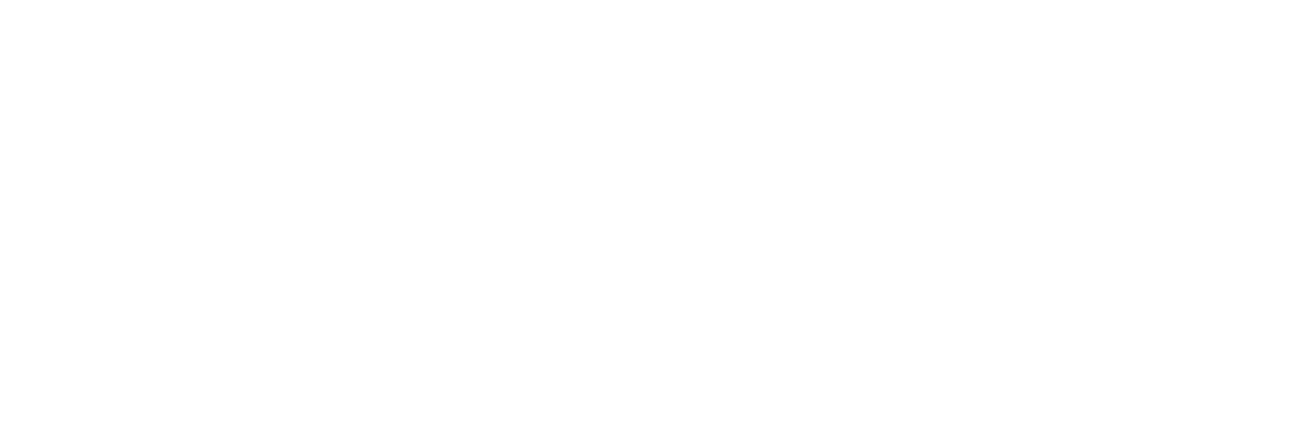 Walt Disney Company
