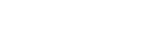 WiseTech Global
